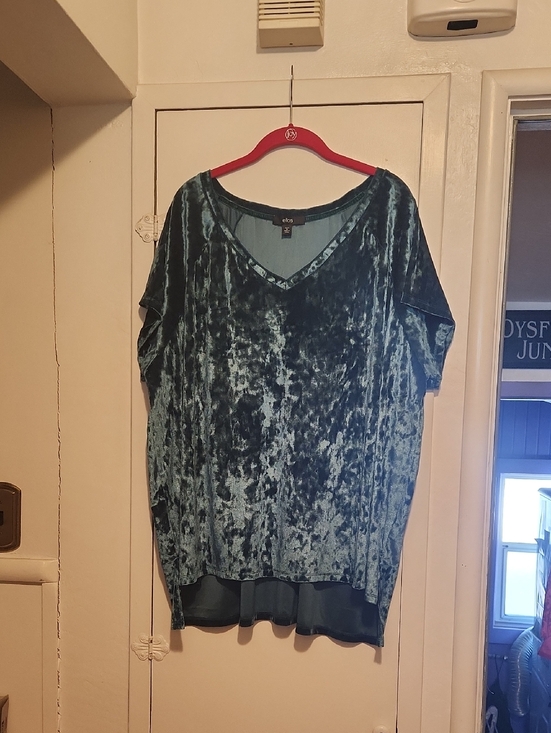 ellos Tops - 🔥ellos Emerald Crushed Velvet V-Neck Tunic